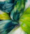 Hand Dyed Roving from Lisa Souza