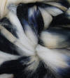 Hand Dyed Roving from Lisa Souza