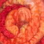 Earth Birth Hand Dyed Roving For Spinners