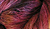 Alpaca Lace Mars Quake Hand Dyed by Lisa Souza