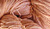 Hand Dyed Baby Alpaca Silk Yarn Gingerpeach