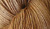 Baby Alpaca Silk Pumpkin Gold Dyed by Lisa Souza