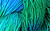 Lisa Souza Hand Dyed Yarn Hardtwist Merino Petite