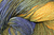 Lisa Souza Hand Dyed Yarn Hardtwist Merino Petite