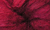 Ruby - Kid Mohair Yarn Hand Dyed by Lisa Souza