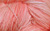 Agua Fresca Hand Dyed Sock Yarn from Lisa Souza