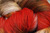 Aww-Tum Hand Dyed Sock Yarn from Lisa Souza