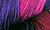Berry Poppins -- Hand Dyed Yarn from Lisa Souza
