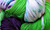 Lime and Violet Hand Dyed Sock Yarn from Lisa Souza