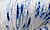 Delft -- hand dyed Superwash Sport Merino Yarn from Lisa Souza