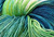 Hand Dyed Yarn by Lisa Souza