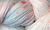 Hand Dyed Sock Yarn from Lisa Souza