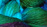 Emerald City Hand Dyed Yarn from Lisa Souza