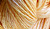 Gingerpeach - Hand Dyed Yarn